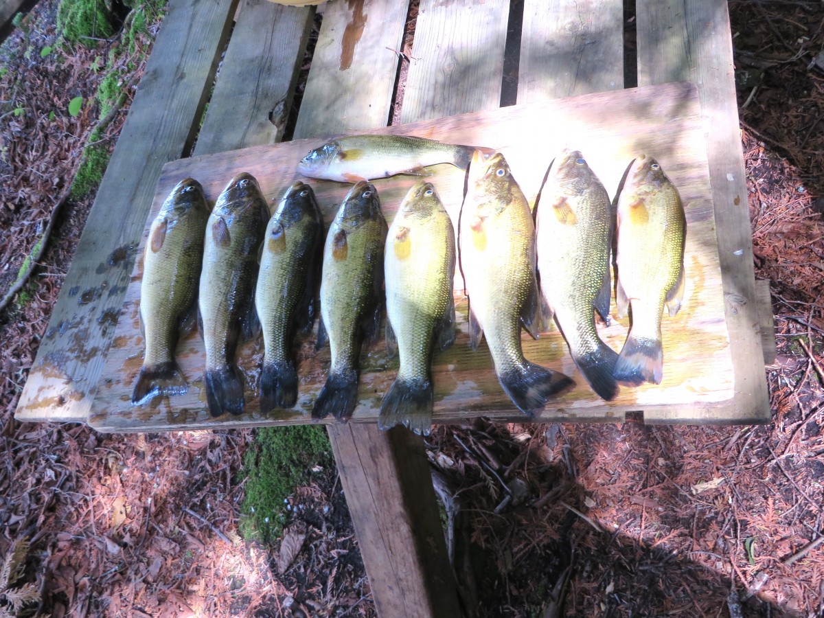 1082D Hereford Highland Lane, Farm Lake, North Frontenac, Ontario, Canada photo 34