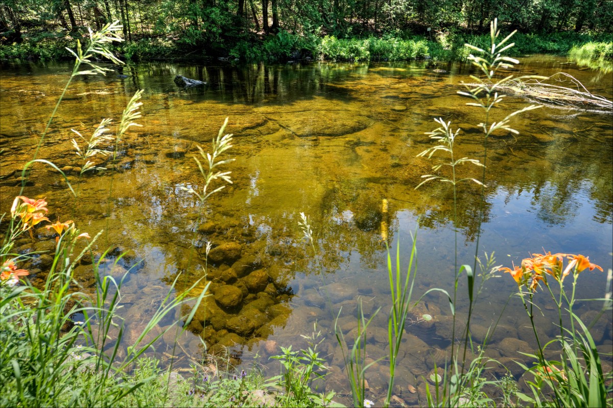 1340 Head Rd., Cloyne KoH 1K0, North Frontenac, Ontario, Canada photo 7