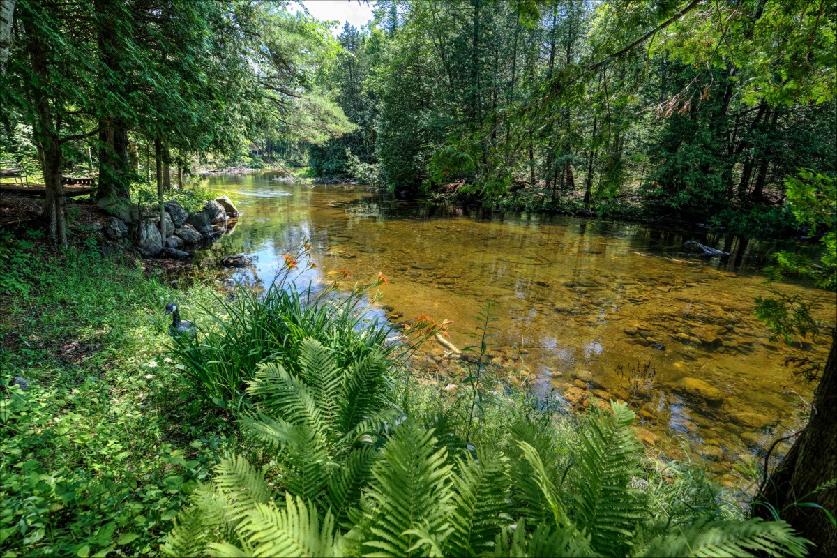 1340 Head Rd., Cloyne KoH 1K0, North Frontenac, Ontario, Canada photo 6