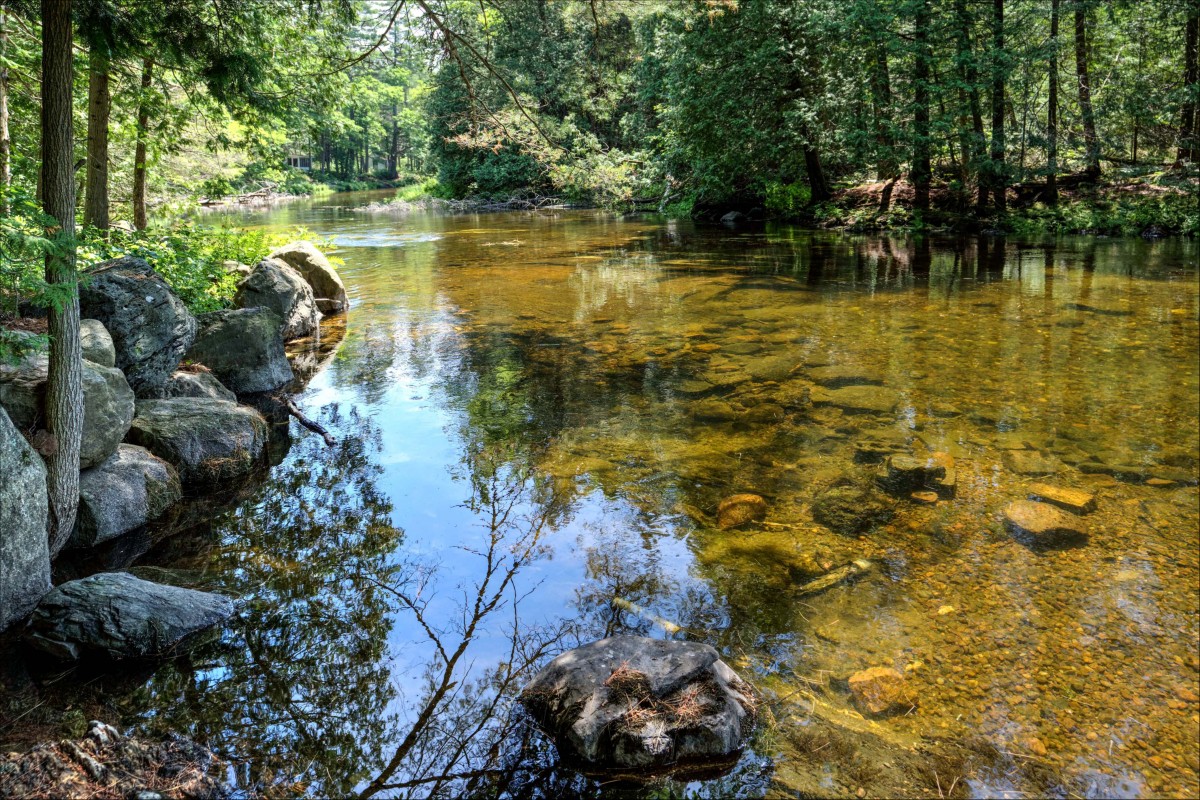 1340 Head Rd., Cloyne KoH 1K0, North Frontenac, Ontario, Canada photo 5