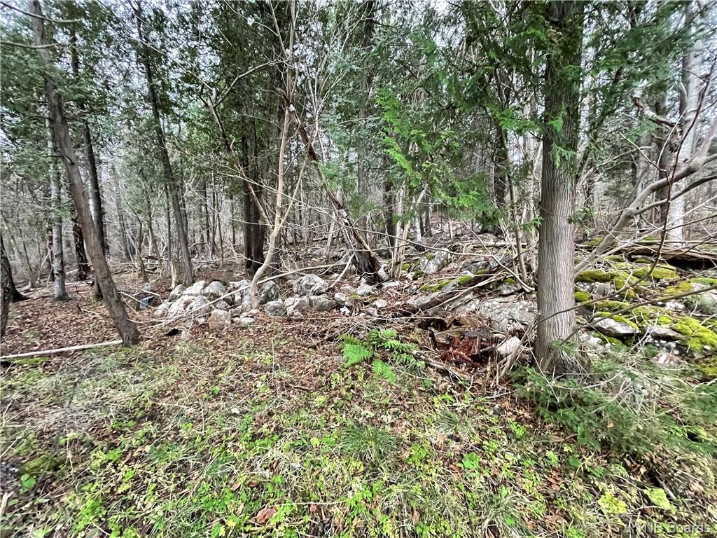 23 Mount Loyal, Saint John, New Brunswick, Canada