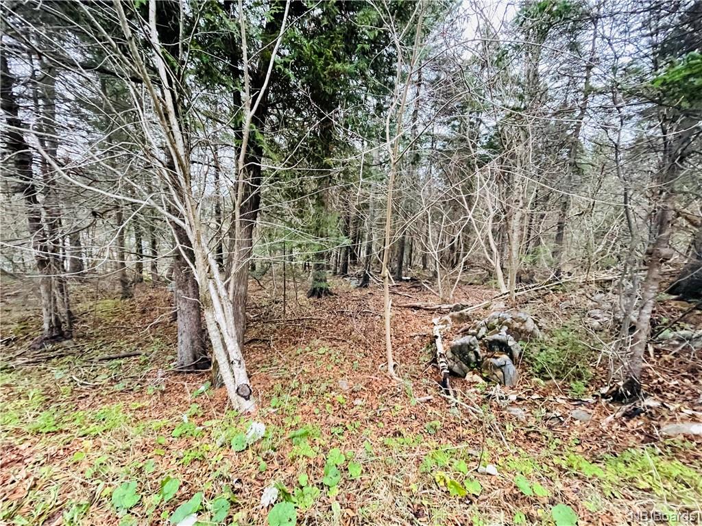23 Mount Loyal, Saint John, New Brunswick, Canada