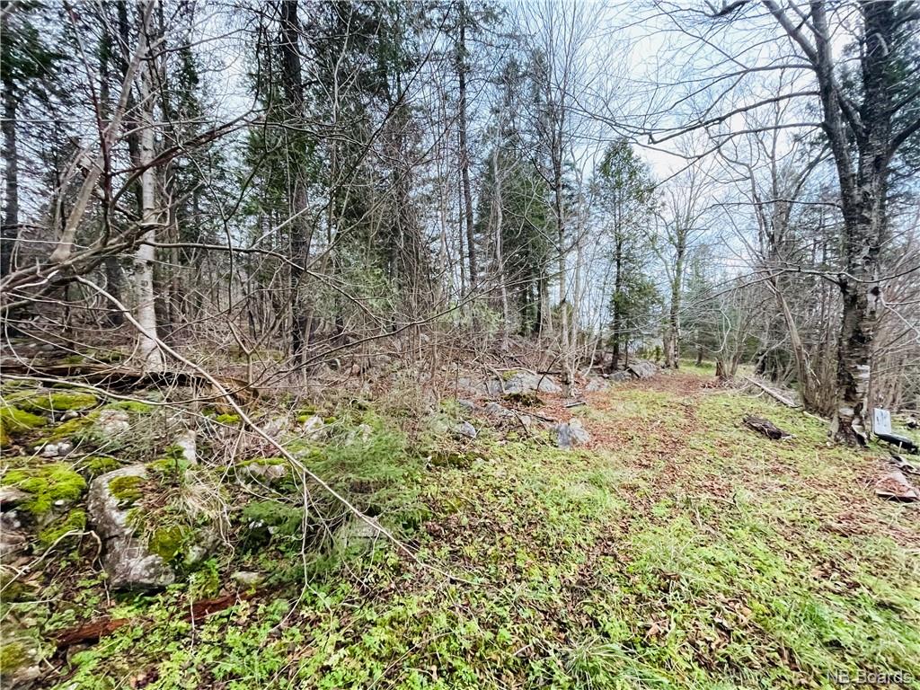 23 Mount Loyal, Saint John, New Brunswick, Canada