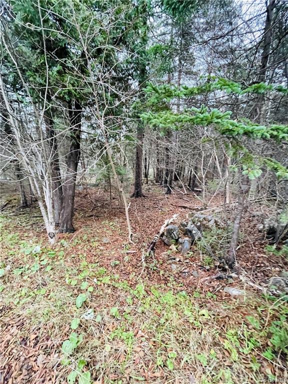 23 Mount Loyal, Saint John, New Brunswick, Canada