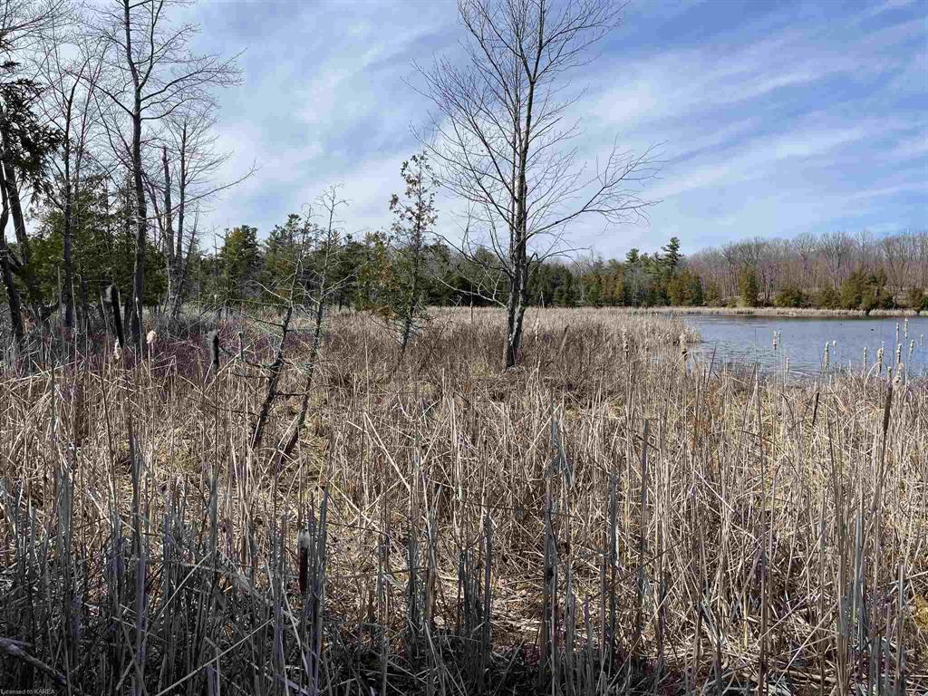 MOSQUITO LAKE Road, Rideau Lakes, Ontario, Canada