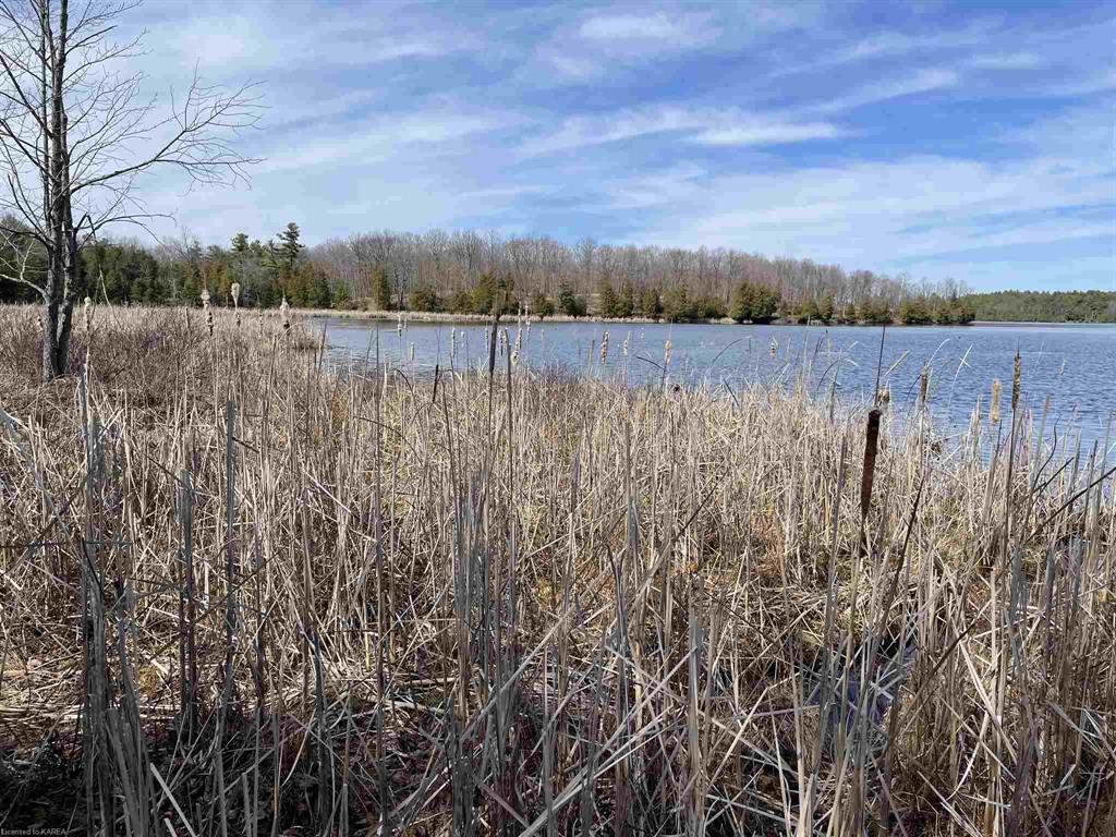 MOSQUITO LAKE Road, Rideau Lakes, Ontario, Canada