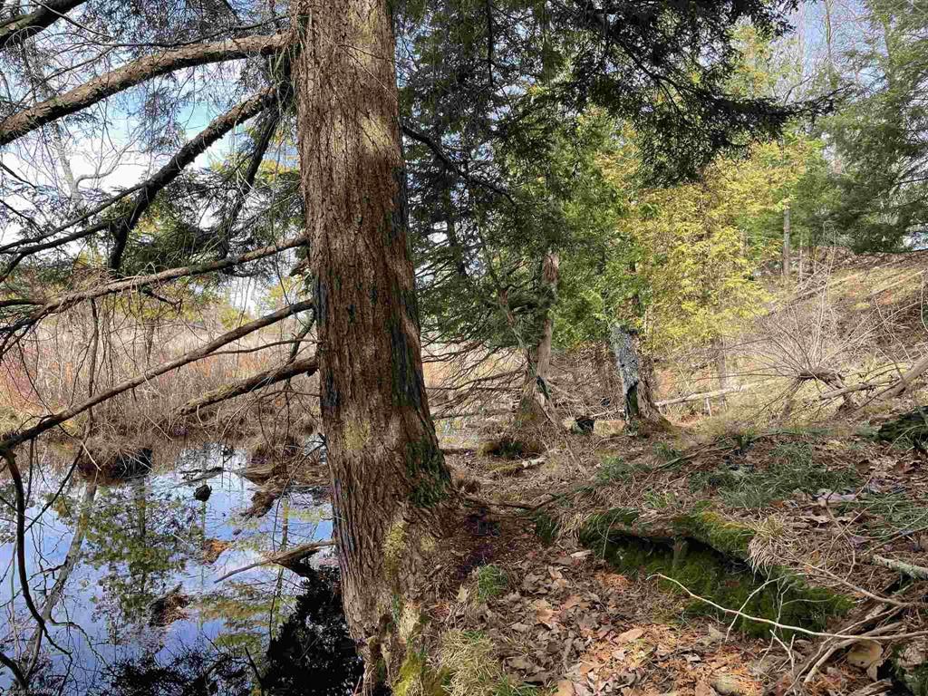 MOSQUITO LAKE Road, Rideau Lakes, Ontario, Canada