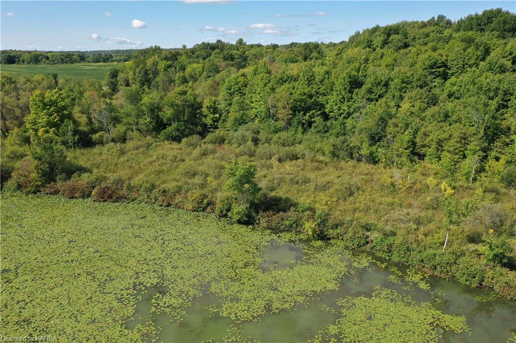 BEECHNUT HILL Road, Kingston, Ontario, Canada