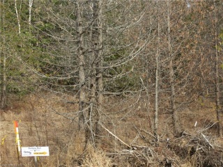 ESSONVILLE-LINE Road, Wilberforce Ontario, Canada
